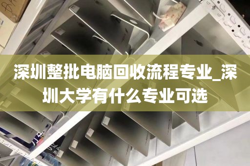 深圳整批電腦回收流程專業(yè)_深圳大學有什么專業(yè)可選